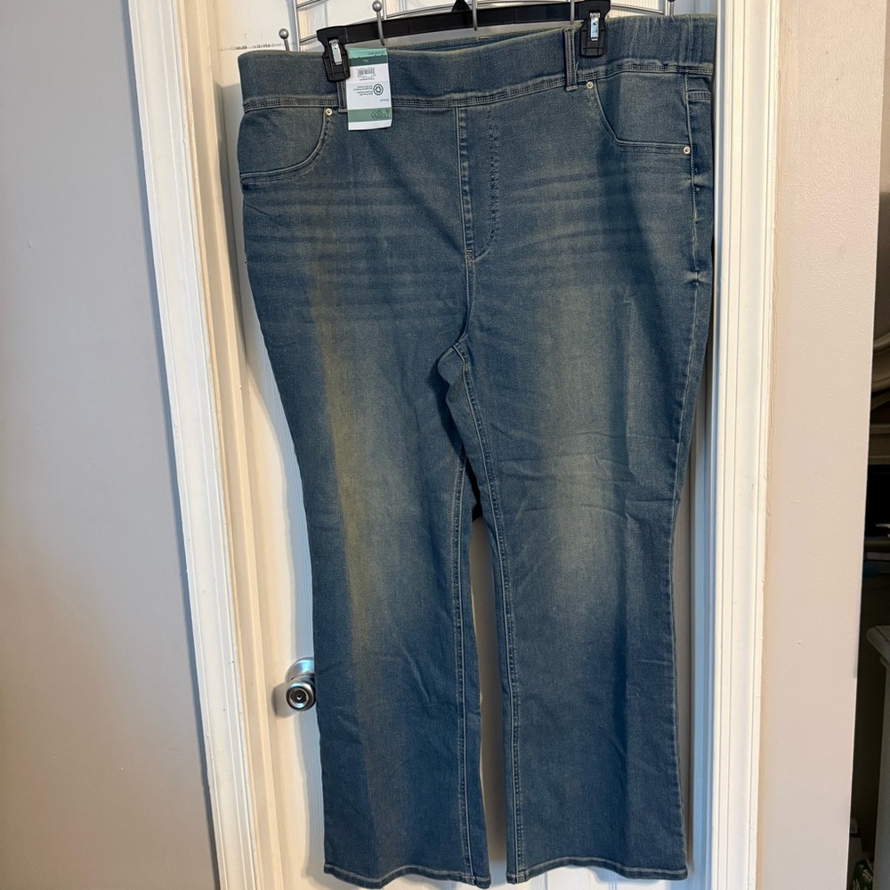 Terra & Sky women’s jeggings